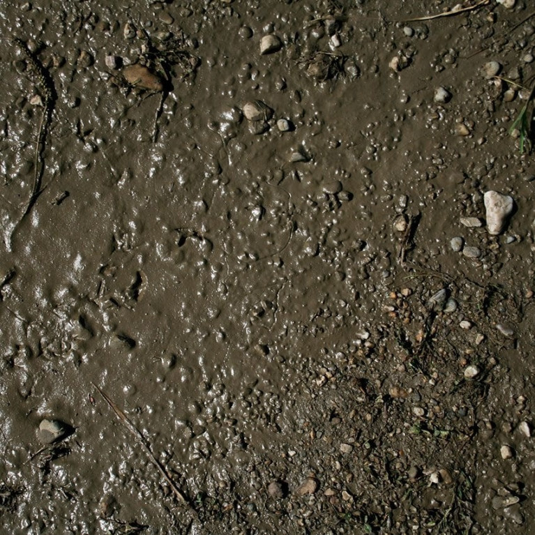 Terrains sols humides - 250ml (Acrylique) AK Interactive AK-8016 Terrains sols humides - 250ml (Acrylique) AK Interactive AK-8016