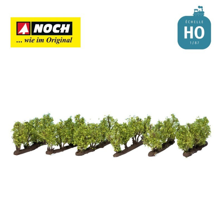 Vignes (24 pcs) HO Noch 21540 - Maketis Vignes (24 pcs) HO Noch 21540 - Maketis