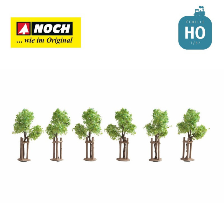 Jeunes arbres avec tuteurs HO Noch 21538 - Maketis Jeunes arbres avec tuteurs HO Noch 21538 - Maketis