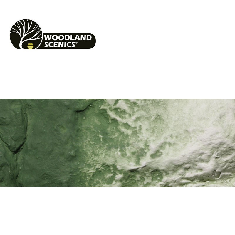 Teinture pour sous couche vert Woodland Scenics C1228 - Maketis