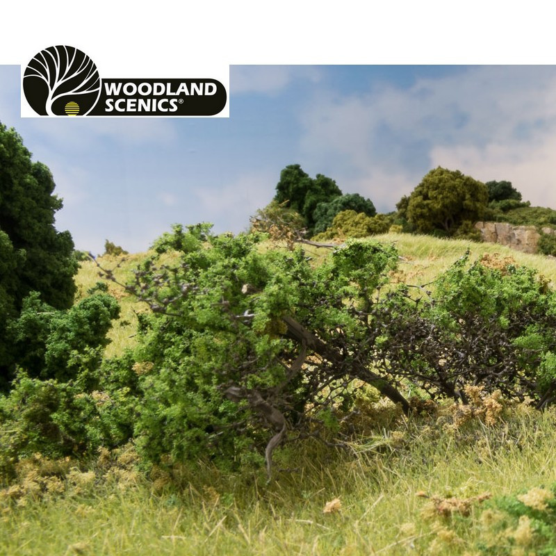 Bosquet de ronces vert moyen Woodland Scenics FS638 - Maketis