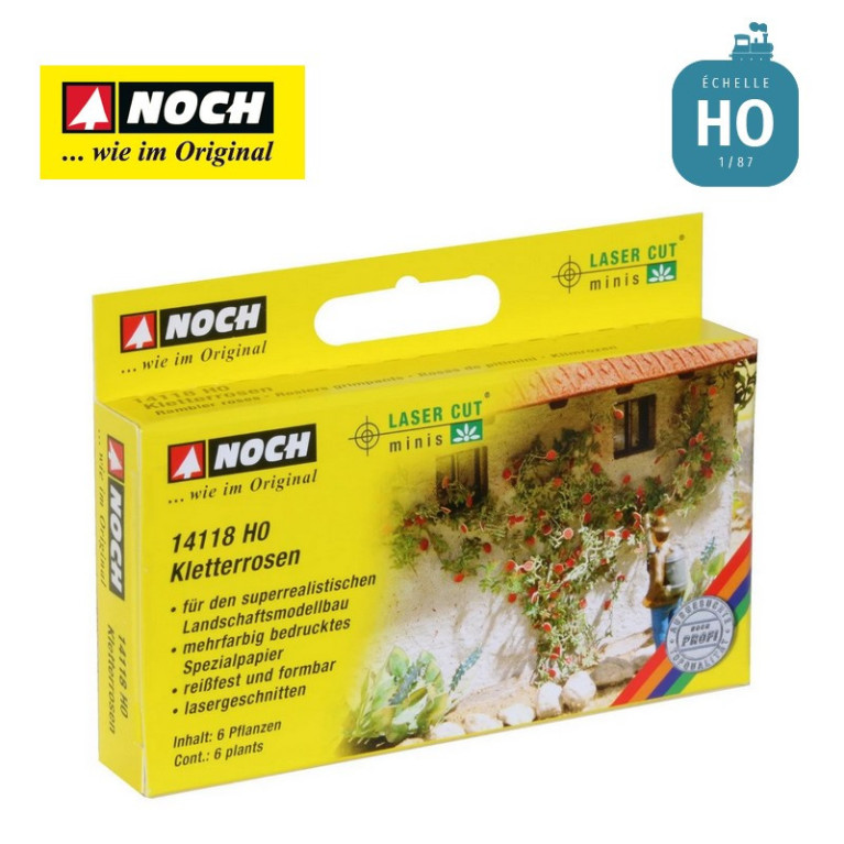 Rosiers grimpants HO Noch 14118-Maketis Rosiers grimpants HO Noch 14118-Maketis