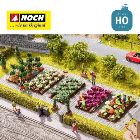 Décos Minis et choux-fleurs HO Noch 13216 Décos Minis et choux-fleurs HO Noch 13216