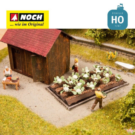 Décos Minis et choux-fleurs HO Noch 13216 Décos Minis et choux-fleurs HO Noch 13216