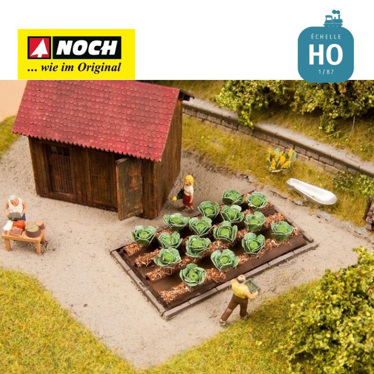 Décos Minis et choux blanc HO Noch 13217 Décos Minis et choux blanc HO Noch 13217