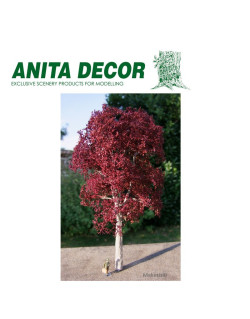 Hêtre rouge de 15 à 45 cm Anita Decor