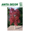 Hêtre rouge Anita Decor - Maketis