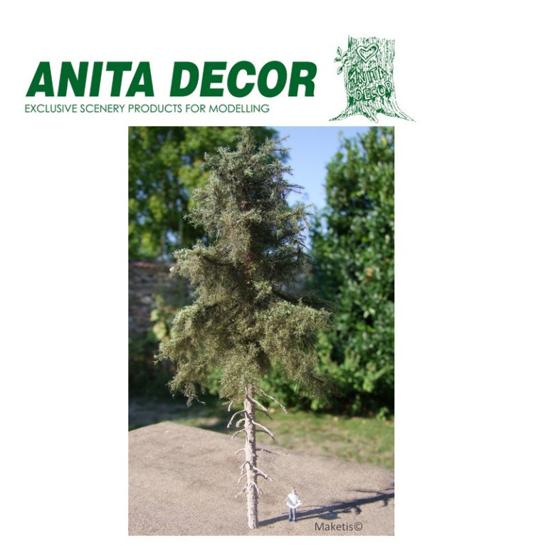 Sapin Douglas haute tige Anita Decor - Maketis