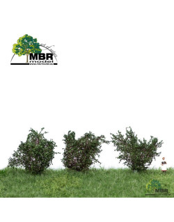 Buissons verts foncés MBR 50-3001 - Maketis