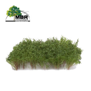 Petits buissons verts foncés MBR 50-5001 - Maketis