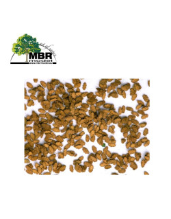 Feuilles de chêne sèches MBR 50-6004 - Maketis