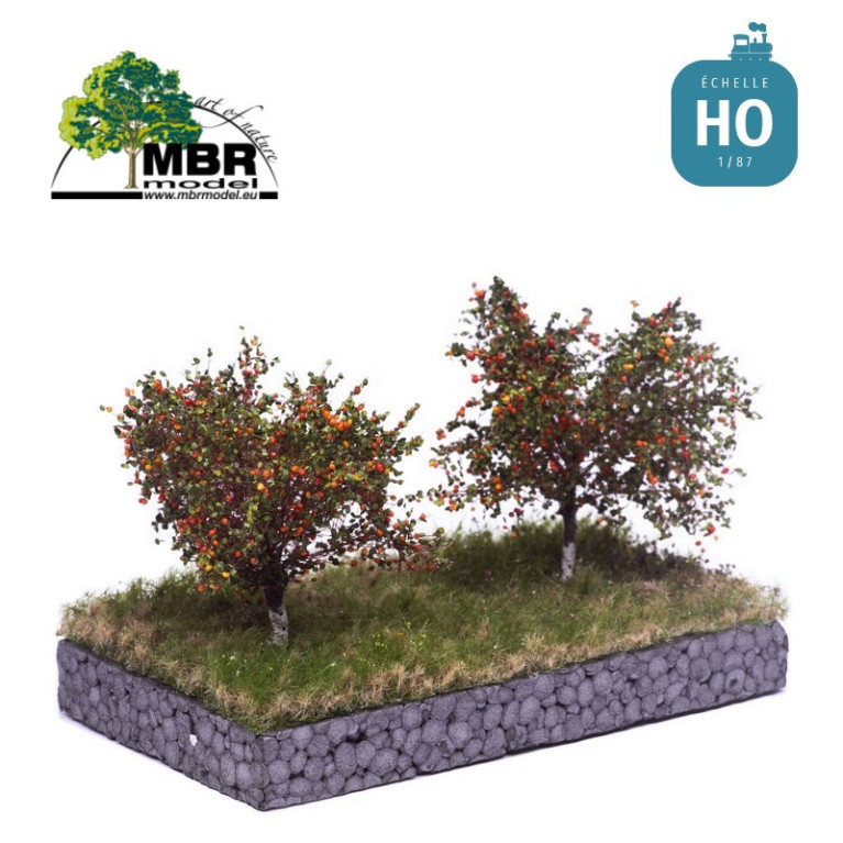Apfelbaum Sommer (2 St) MBR 51-2304 - Maketis Apfelbaum Sommer (2 St) MBR 51-2304 - Maketis