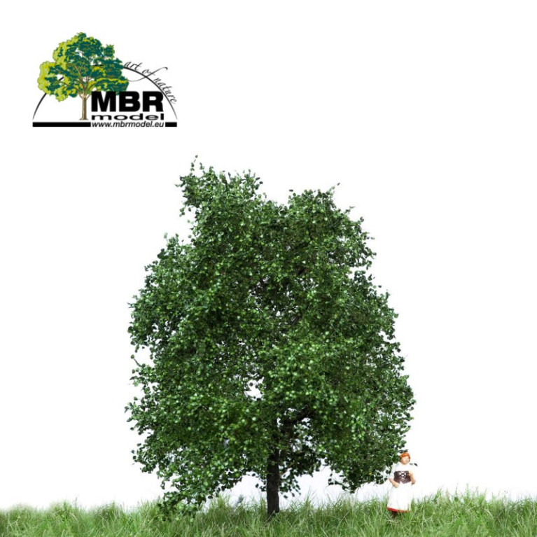 Oak summer MBR - MAKETIS Oak summer MBR - MAKETIS