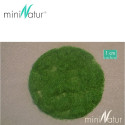 Flocage herbe 2 mm 50g Mininatur 002-2x