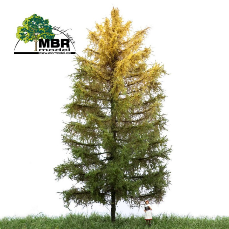 Mélèze automne du N au O MBR-Maketis Mélèze automne du N au O MBR-Maketis