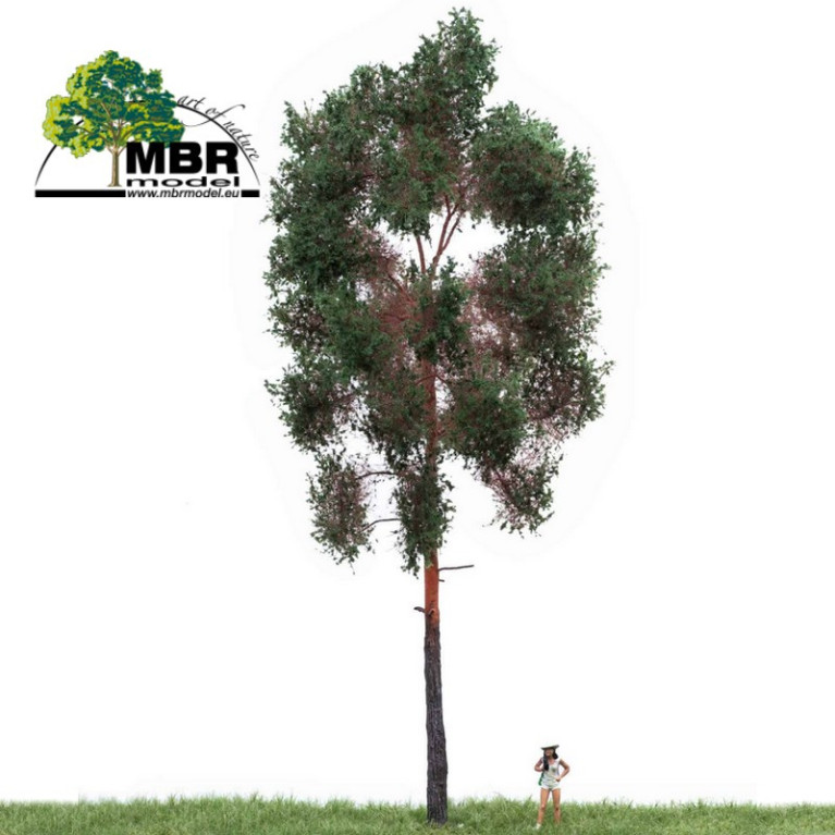 Pin été du N au O MBR-Maketis Pin été du N au O MBR-Maketis