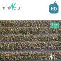 Bandes de fleurs 336 cm HO (1/87) Mininatur 731-2x - Maketis