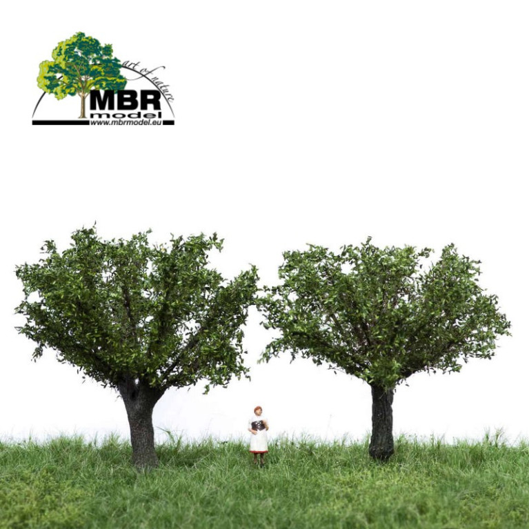 Saule têtard été MBR 51-2308-Maketis Saule têtard été MBR 51-2308-Maketis