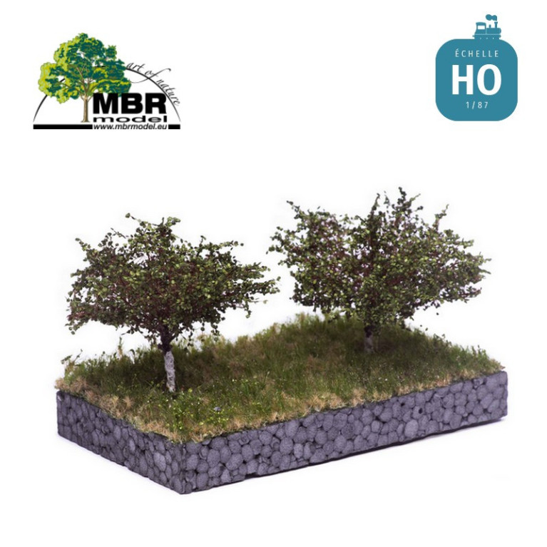 Apple tree summer (x2) Apple tree summer (x2)