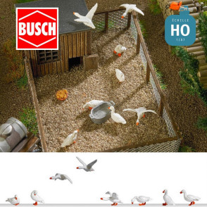 Oies d'élevage HO Busch 1195 - Maketis
