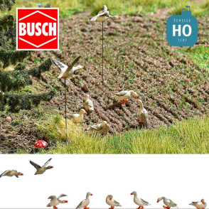 Oies sauvages HO Busch 1196 - Maketis