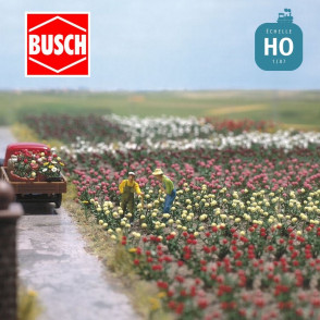 Roses HO Busch 1205 - Maketis