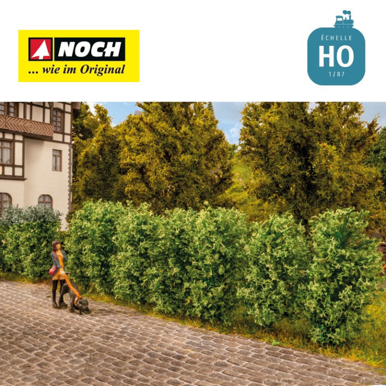 Haie de thuyas HO Noch 21547