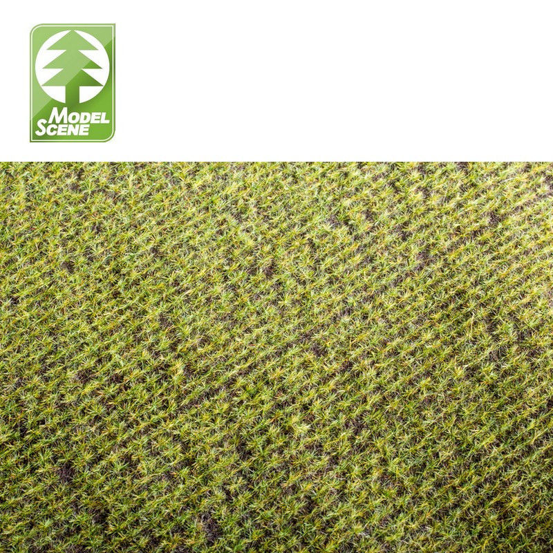 Champ cultivé Agro Line 18 x 28 cm Model Scene F4