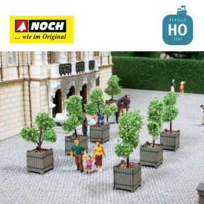 Arbres d'ornements en bacs 2pcs HO Noch 14013 - Maketis
