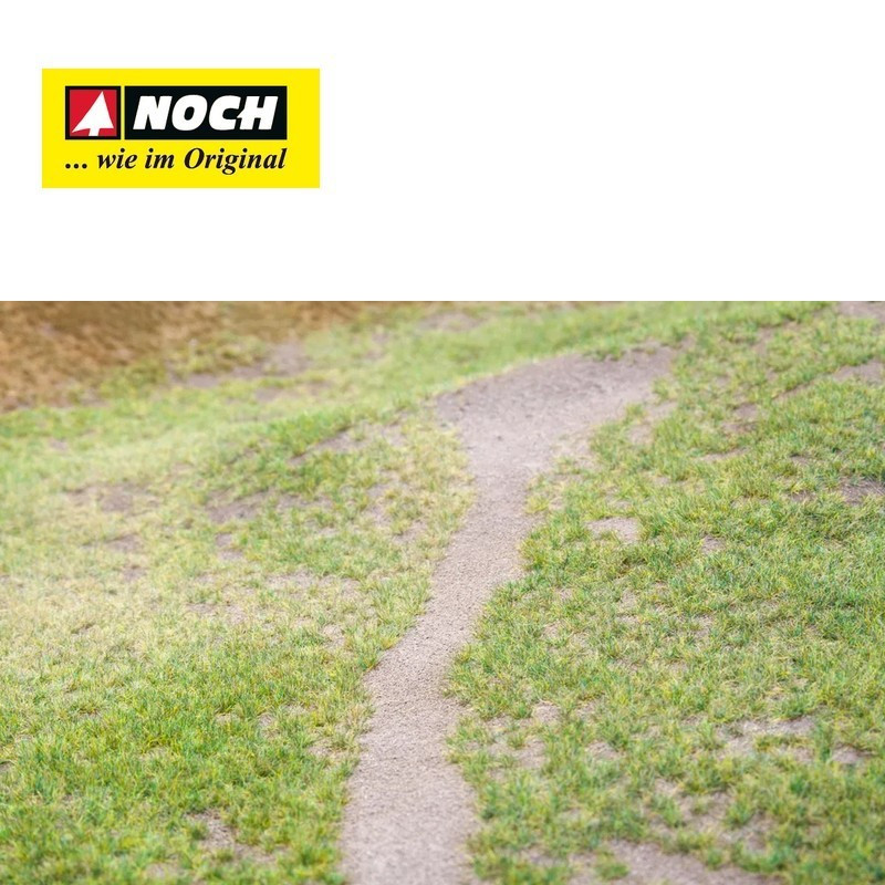 Grass Master 3.0 PROFI Noch 60115 - Maketis
